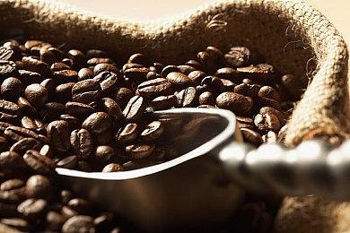 EA和光荣合作《WILD HEARTS》预告 明年2月17日发售