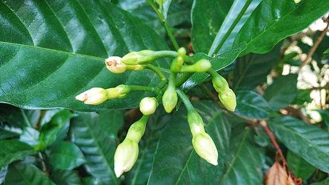 《消逝的光芒2》玩家数量不及前作 开发者表示问题不大